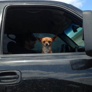 attachment parenting and bedsharing copy