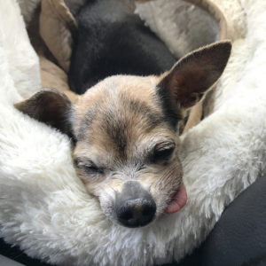 attachment parenting and breastfeeding copy