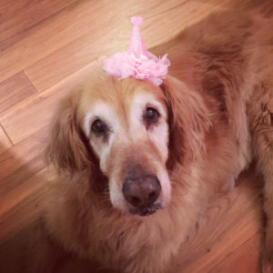 attachment parenting and daycare