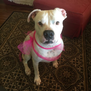 attachment parenting and naps copy