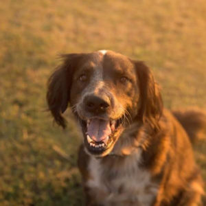 attachment parenting and sleep training copy