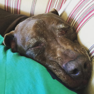 attachment parenting approach copy