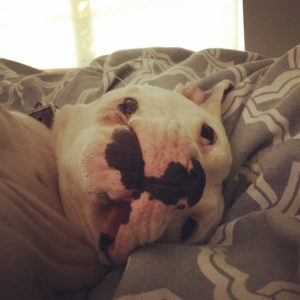 attachment parenting benefits copy