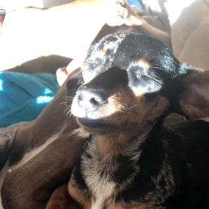 gentle parenting boundaries